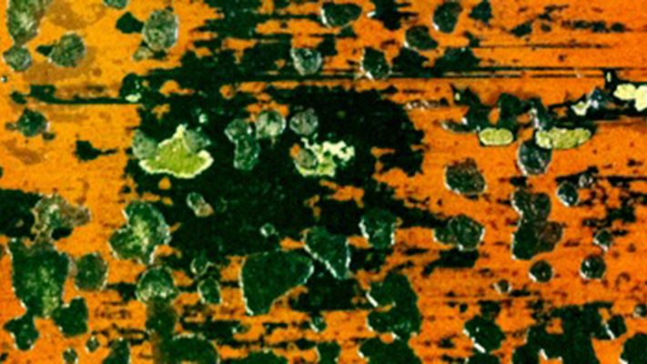 Theater De Lievekamp: Dingen…