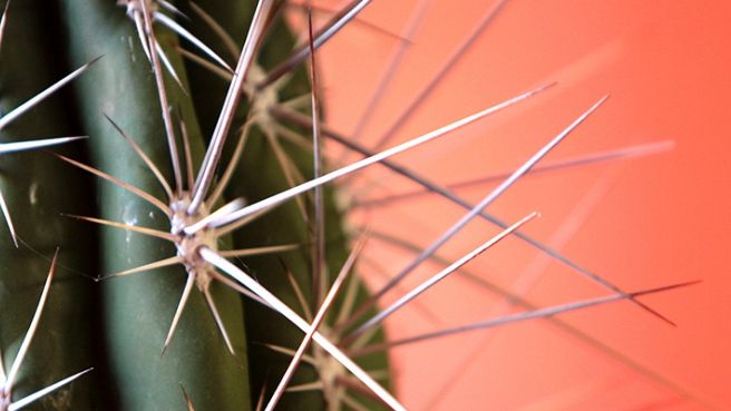 Aandacht maakt een interieur…