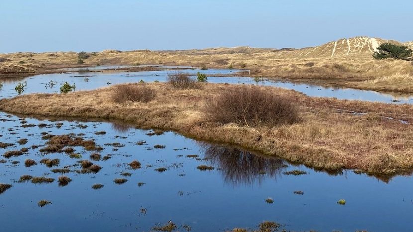 De invloed van een interieur…