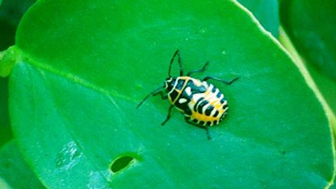 Duurzaam Interieur Ontwerpen