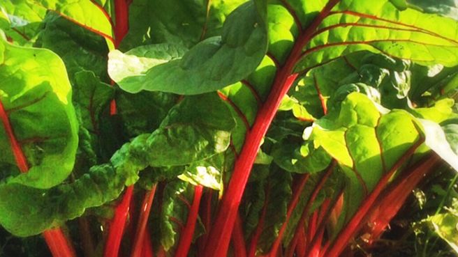 Investeren in een Duurzaam…