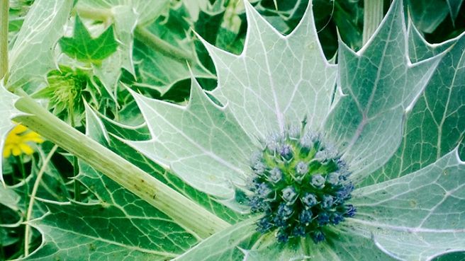 Eetbar DIT in Den Bosch: Vers…