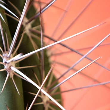 Een duurzaam kantoorinterieur om trots op te zijn