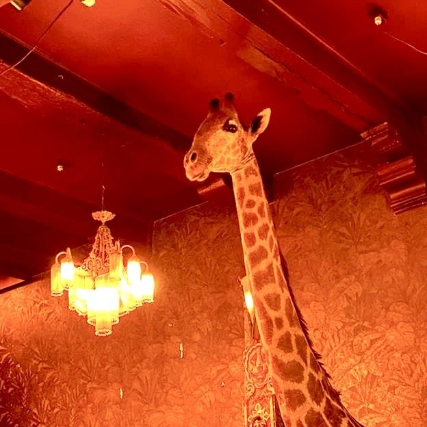 Een horeca interieur als een valkuil