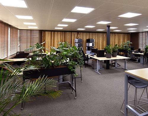 Kantoor interieur van Muller Bouw Oss