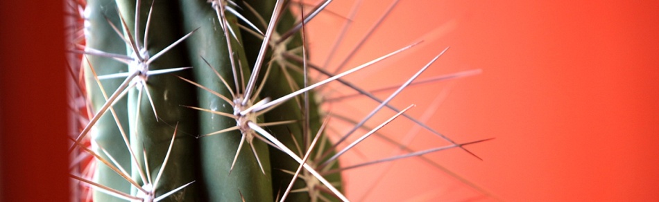 Een duurzaam kantoorinterieur om trots op te zijn