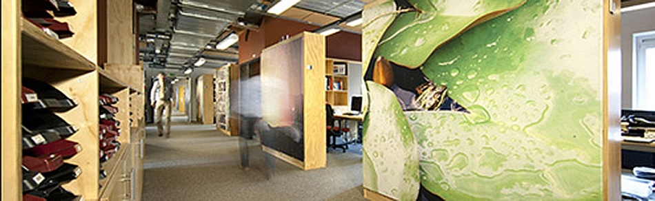 Nieuwe kantoorplannen? Laat een interieurarchitect van Tribe je helpen