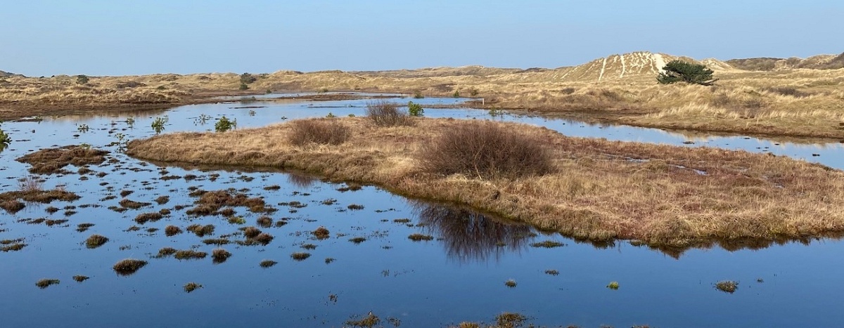 De invloed van een interieur in de horeca