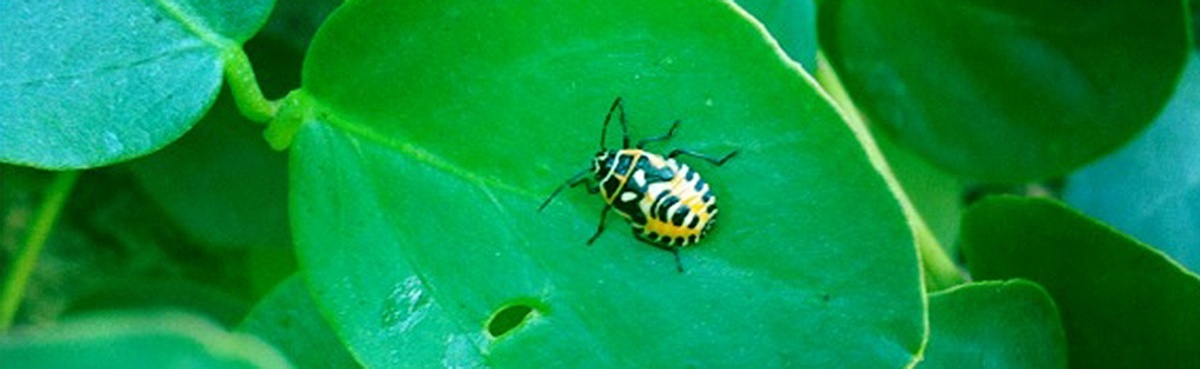 Duurzaam Interieur Ontwerpen