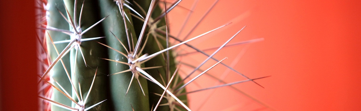 Een duurzaam kantoorinterieur om trots op te zijn