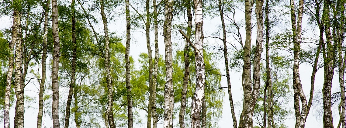hergebruik in het interieur, een evolutie naar hoogwaardig design