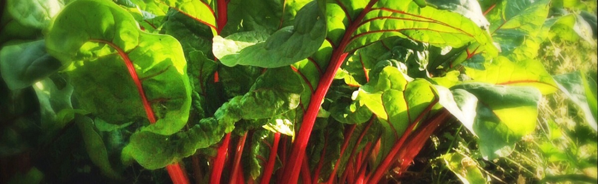 Investeren in een Duurzaam Interieur