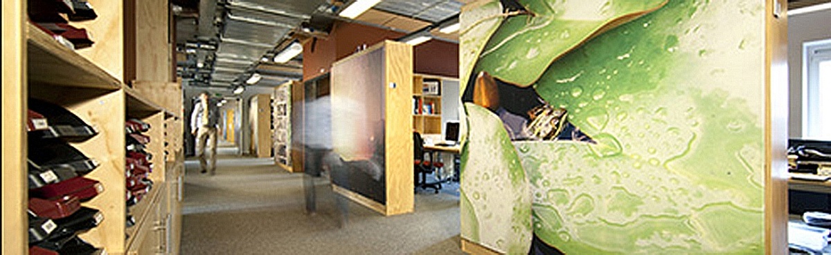 Nieuwe kantoorplannen? Laat een interieurarchitect van Tribe je helpen