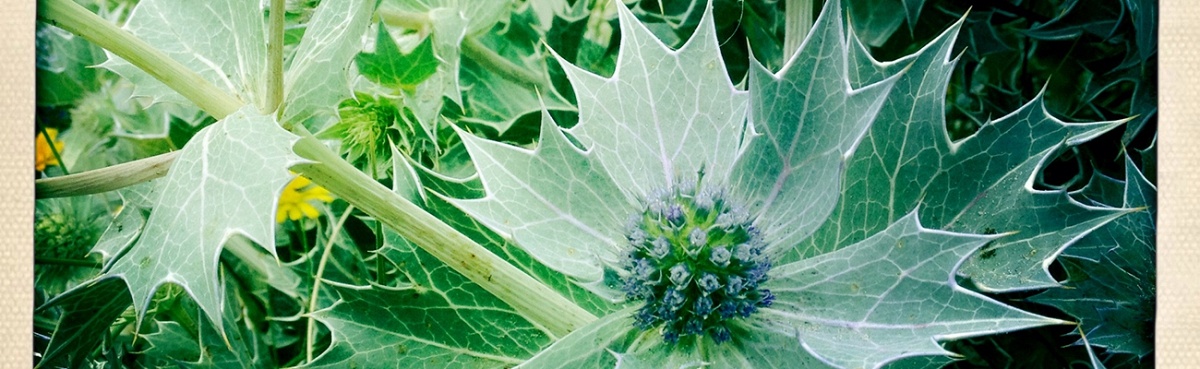Eetbar DIT in Den Bosch: Verse bloemen bij de lunch
