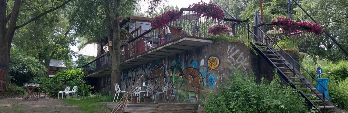 Werfpaviljoen Arnhem: een idylle van schroot en oprukkend groen